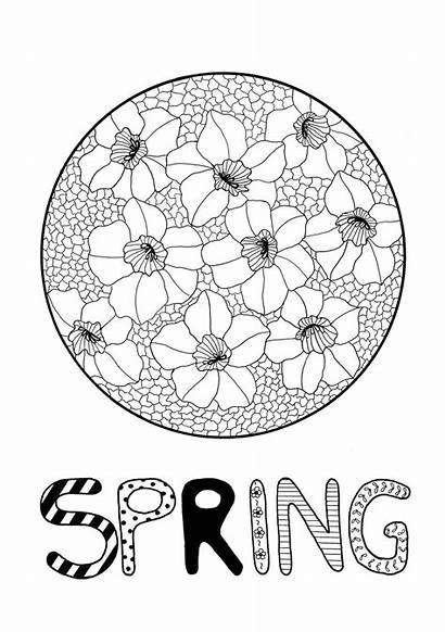Coloring Daffodil Adult Mosaic Spring Flowers Pages