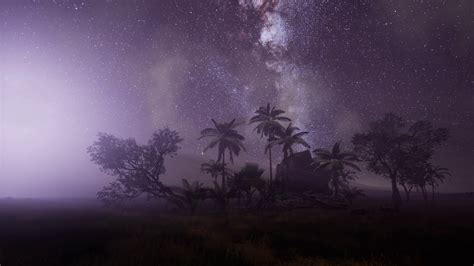 4k Astro Of Milky Way Galaxy Over Tropical Rainforest Stock Video