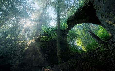 Wallpaper Sunlight Trees Landscape Forest Rock Nature