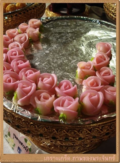 ผมเคยพบกับกับ ไม้ดอกหายากชนิดหนึ่ง คือ กระเช้าสีดา เมื่อ. Bloggang.com : พรายพระจันทร์ : เกาะเกร็ด ... แม้จะร้อนแต่ ...
