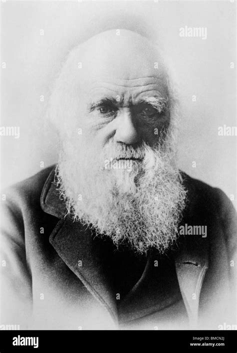 Vintage Portrait Photo Circa 1870s Of Charles Darwin 1809 1882