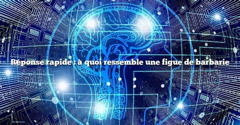 Réponse rapide à quoi ressemble une figue de barbarie