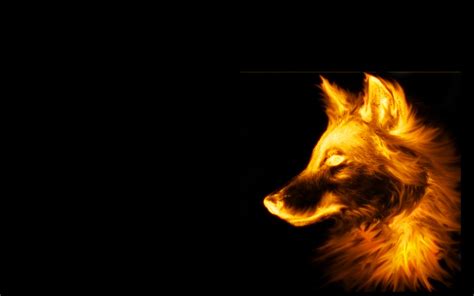 Free Download Fire Wolf Wallpaper 1600x1024 Fire Wolf Black Background