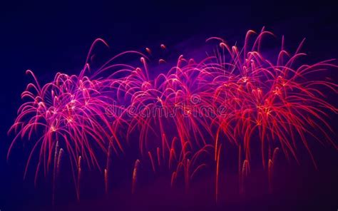 Colorful Fireworks In Night Sky Stock Photo Image Of Night