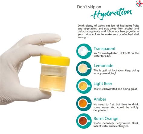 Urine Color And Smell Can Tell You A Lot About Your Health See How