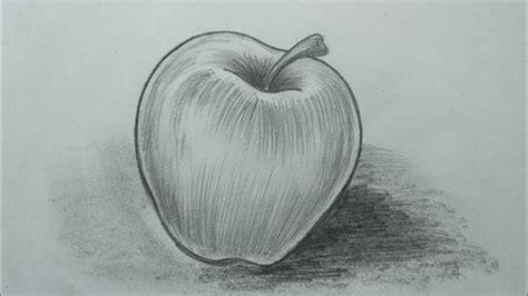 Pencil Sketch Apple Shading Youtube