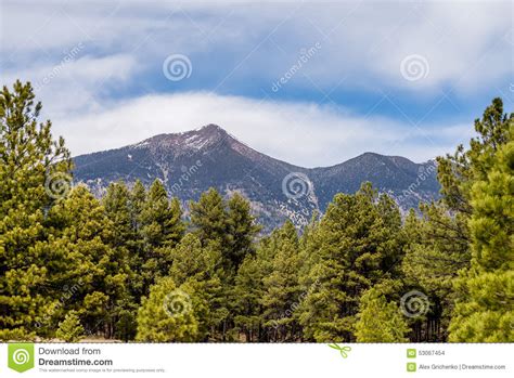 Landscape With Humphreys Peak Tallest In Arizona Stock Photo Image Of