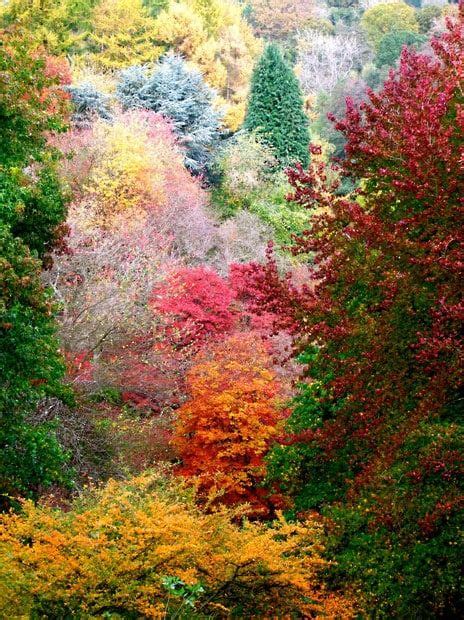 Autumn Colour In England This Orange And Pleasant Land Beautiful
