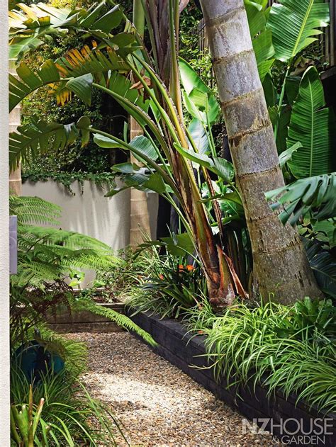 Tropical-courtyard-garden-9 | Tropical courtyard garden, Tropical landscaping, Tropical courtyard