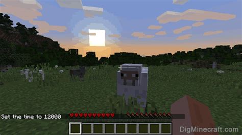 Do you want to want to know how to set the time in minecraft to day, night, sunrise or change the time on ps4, xbox, pc??? How to Set Time to Day in Minecraft