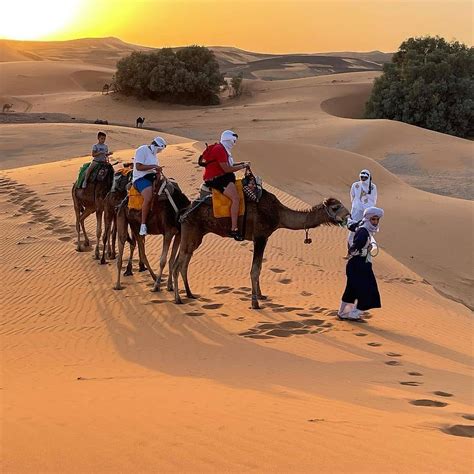 3 Nights Camping In The Sahara Desert Morocco Camel Trekking