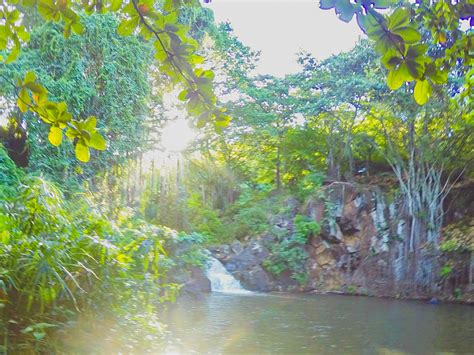 The 12 Best Waterfall Hikes On Oahu For All Skill Levels