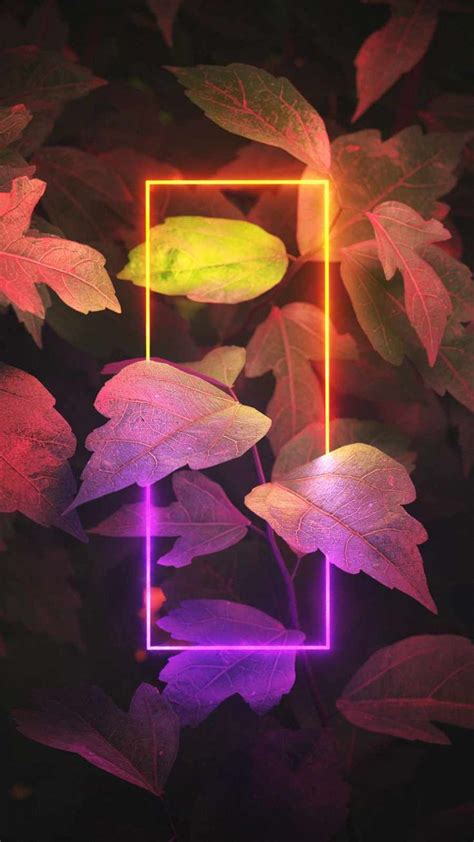 Neon Light Foliage Iphone Wallpaper Iphone Wallpapers Iphone