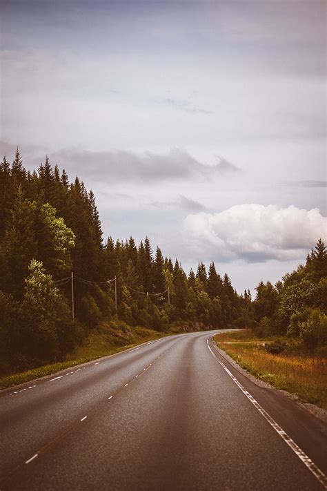 Road Marking Distance Trees Forest Sky Hd Phone Wallpaper Peakpx