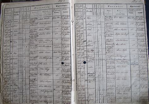 Types of books of accounts that may be registered. Bucovina Vital Records Database