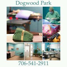 Affordable price neutering and spaying for those on benefits or low income. 19 Best Low Cost/Free Spay/Neuter Events & Clinics images ...