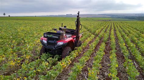 Qual A Diferença Entre Agricultura E Pecuária