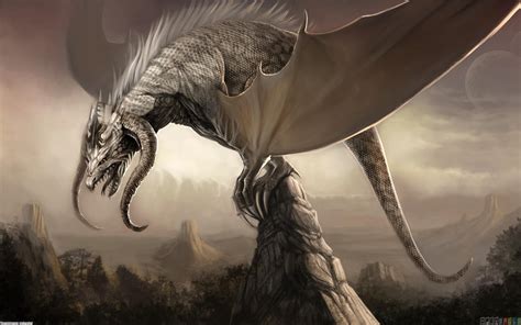 Evil Dragon Wallpapers Top Free Evil Dragon Backgrounds Wallpaperaccess