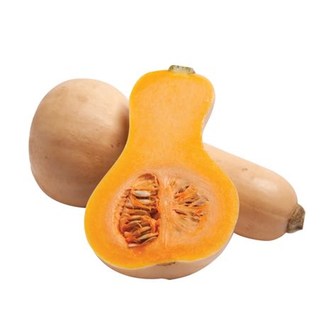 Butternut Squash Centra