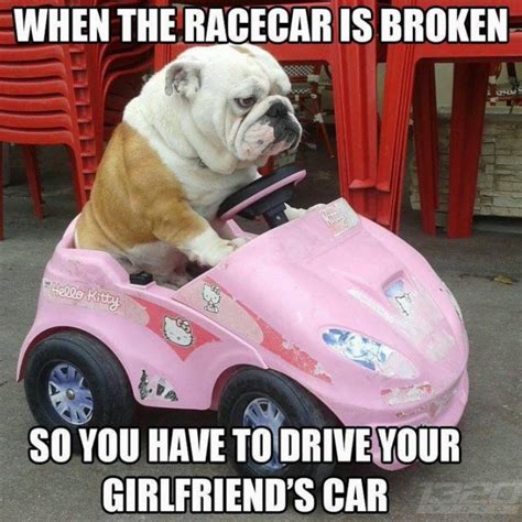 Car Memes Racing Car Memes Funny