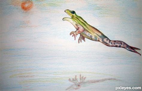 Leaping Frog Drawing At Getdrawings Free Download
