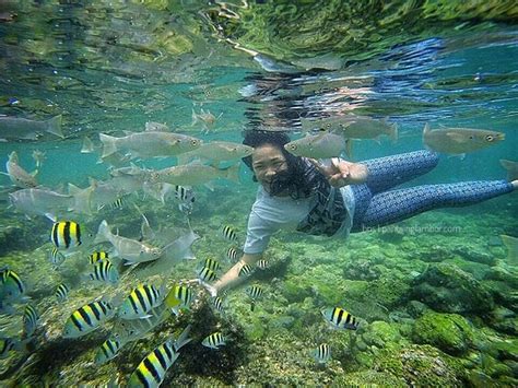 Dengan merogoh kocek rp.15.000 anda sudah bisa menikmati keindahan tanjung lesung banten yang hampir menyaingi bali dan lombok. Snorkeling Di Pantai Nglambor Jogja Sangat Mengesankan ...