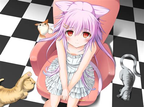 Nekomimi Long Hair Pink Hair Cat Dress Sitting Anime Girls