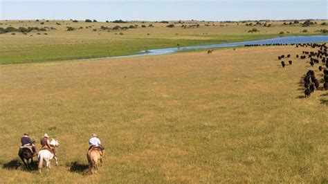 Uruguay Ranch First Latin American Farm To Receive Certified Humane