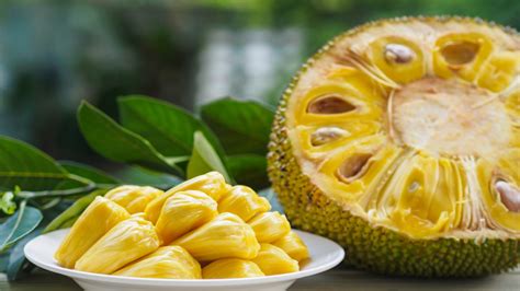 A Complete Guide To Jackfruit