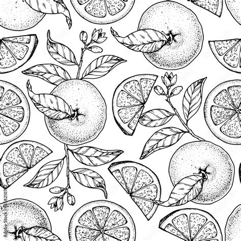 Orange Fruit Hand Drawn Design Seamless Pattern Vector Illustration