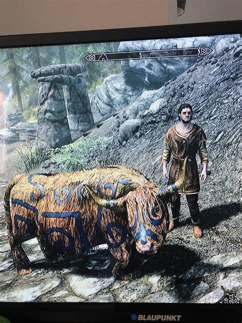 Strange Markings Cow Have Anyone Else Come Across This Rskyrim