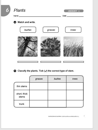 Blog Ceip Jaime Balmes Examen Natural Science Primero Unit 6