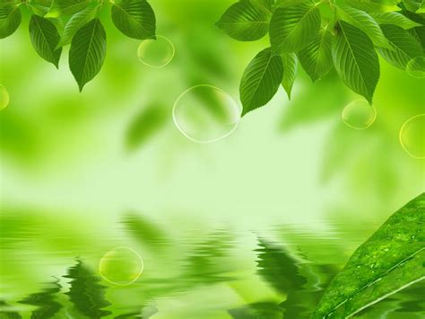 Fresh Nature Wallpapers Top Free Fresh Nature Backgrounds