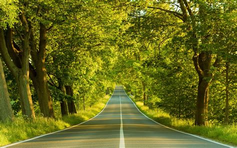 Free Wallpapers Green Nature Photography Photos Of Green Nature