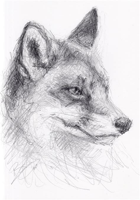 Original A4 Pencil Drawing Of A Fox By Animal Artist Belinda Elliott By