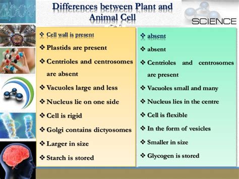 In this article, we will discuss the main differences that exist between animal and plant cells. The Fundamental Unit Of Life Class 9th By ADHWEAT GUPTA