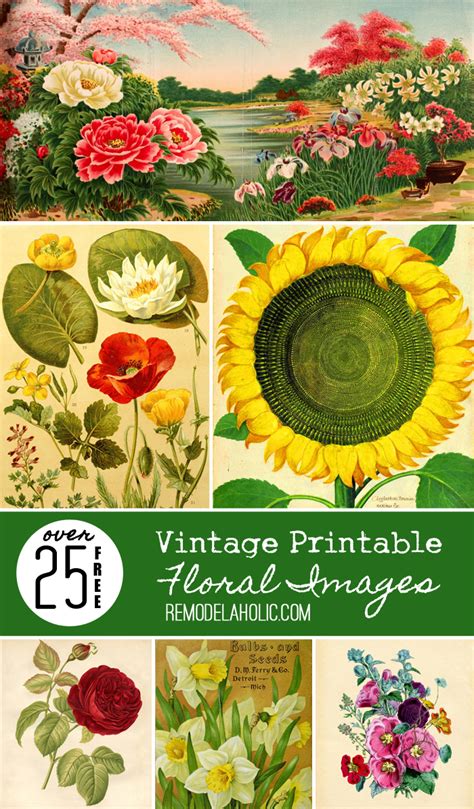 25 Free Printable Vintage Floral Images Remodelaholic