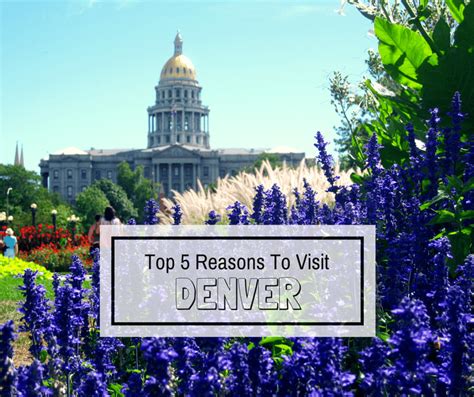 Top 5 Reasons To Visit Denver Buddy The Traveling Monkey