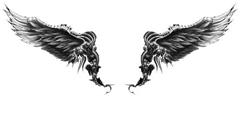 Collection Of Wings Tattoos PNG PlusPNG
