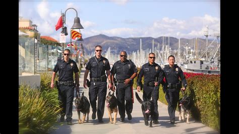 Vc medical center/santa paula hospital. Ventura PD K9 Unit - Rain - YouTube