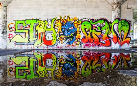 Graffiti Reflection Photograph By Cindy Lindow Pixels