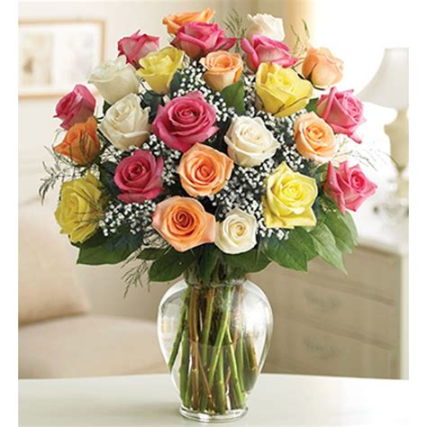 Two Dozen Premium Long Stem Roses Flower Essence The Best