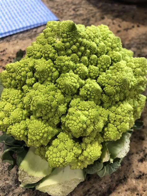 This Type Of Broccoli Called Romanesco Broccoli Rinteresting