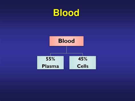 Ppt Blood Powerpoint Presentation Free Download Id9315221