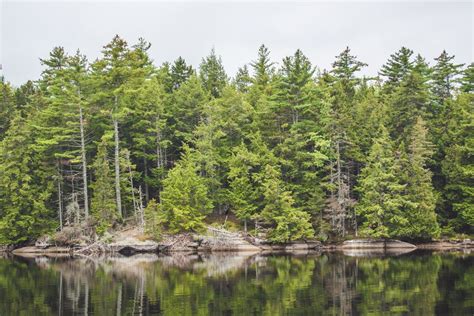 Magical Green Lake In Maine Travel Lacegraceblog1 Maine Travel