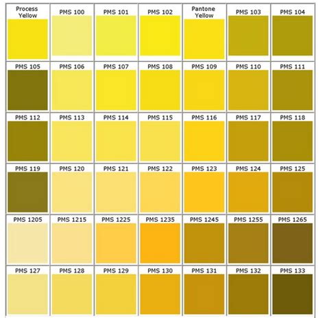 Pms Colour Chart Bongo