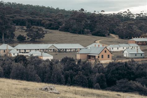 There is a limit to how much firewood can be removed, and when this can occur. Maria Island Tasmania: 15 Incredible Things to Do - We ...