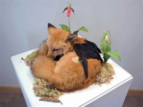 10 Rogue Taxidermy Artists Who Create Imaginative Sculptures Scene360
