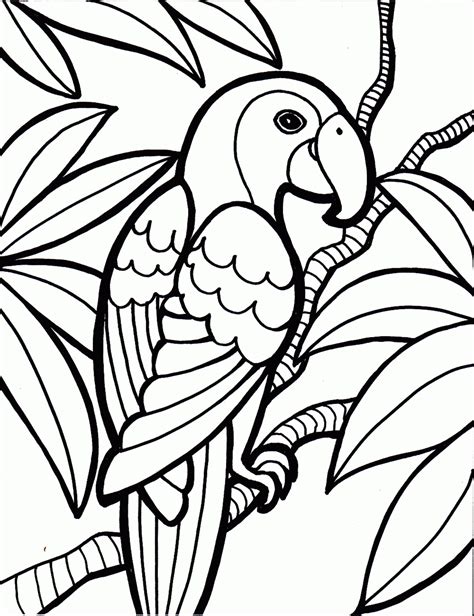 There are 10 pages total (butterfly, caiman, snake. parrot-bird-coloring-pages-.gif 1,250×1,626 pixels | Animal coloring pages, Bird coloring pages ...