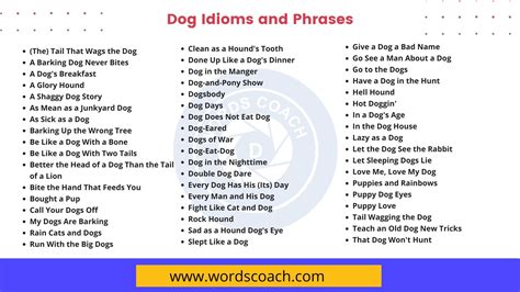 Dog Idioms And Phrases In The English Language Word Coach